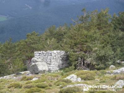 La Peñota y Peña del Arcipreste;senderismo madrid grupos;senderistas madrid